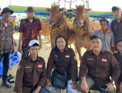 HIMAPET UNIRA Ikut Memeriahkan HUT Sapi Sonok Luna Maya, Perkuat Identitas Budaya Madura