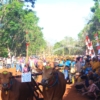 Tradisi Karapan Sapi Hias di Desa Langsar: Warisan Budaya yang Terus Dilestarikan