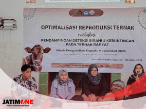 Inovasi Kue Daun Randu dan Teknologi IB: Jalan Baru Kemandirian Peternak Lokal